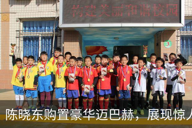 陈晓东购置豪华迈巴赫，展现惊人财力与家庭幸福